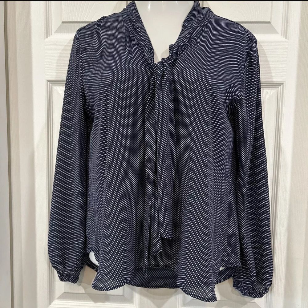 Loft Blue White Polka Dot Chiffon Blouse Large
